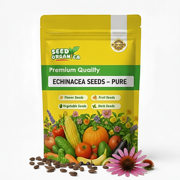 Echinacea Seeds – Pure