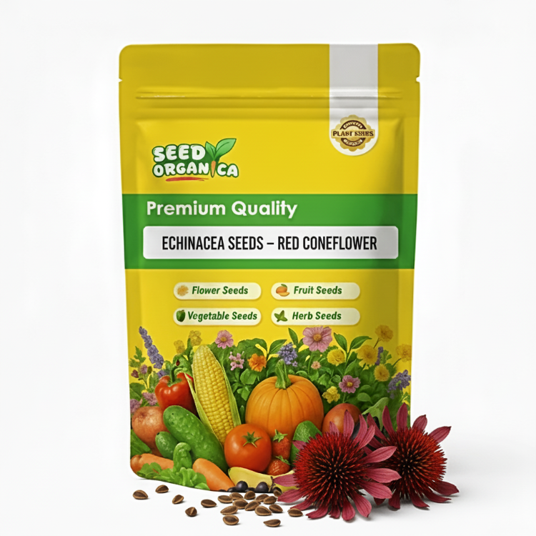 Echinacea Seeds – Red Coneflower