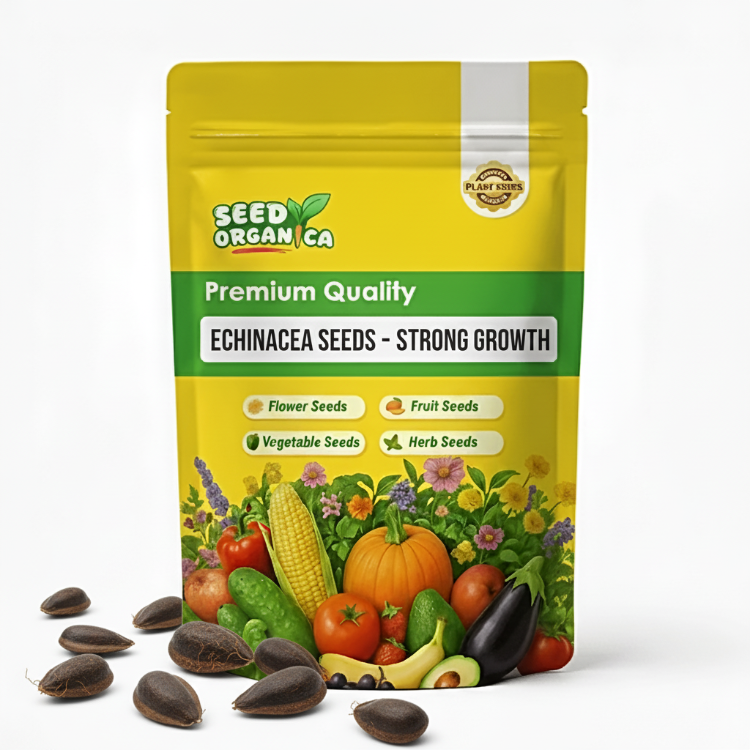 Echinacea Seeds – Strong Growth
