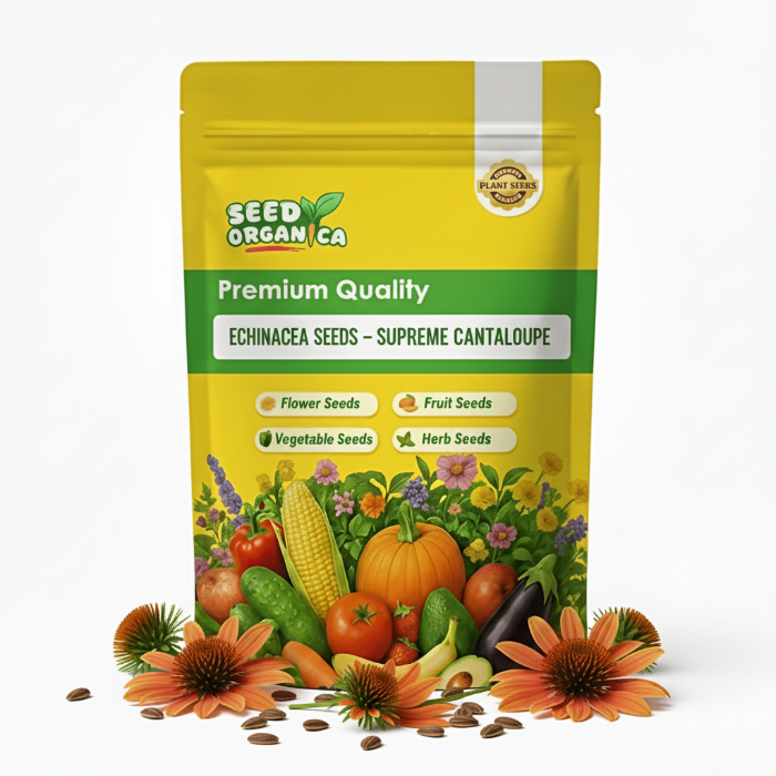Echinacea Seeds – Supreme Cantaloupe
