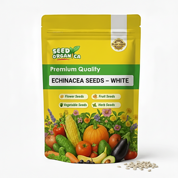 Echinacea Seeds – White