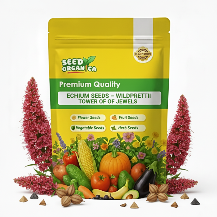 Echium_Seeds_Wildpretii_Tower_of_Jewels