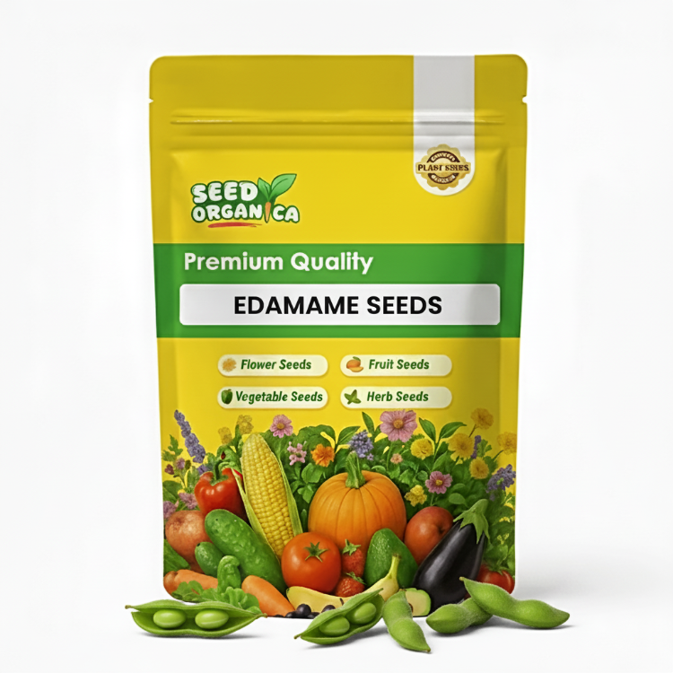 Edamame Seeds