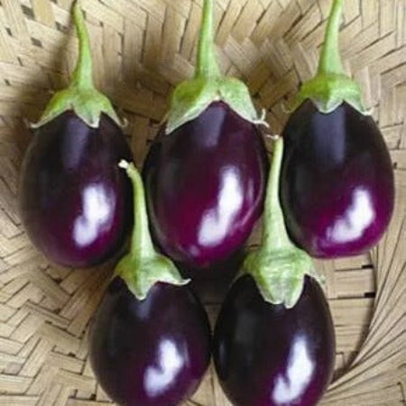 Eggplant Seeds – Dark Violet