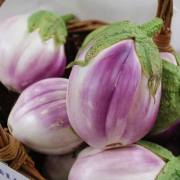 Eggplant Seeds – Lavender