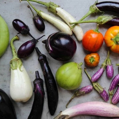 Eggplant  Seeds  – Mixed