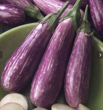 Eggplant Seeds – Fairy Tale 