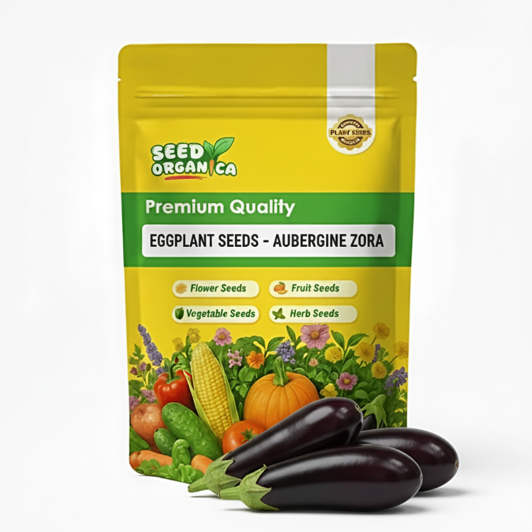 Eggplant Seeds - Aubergine Zora