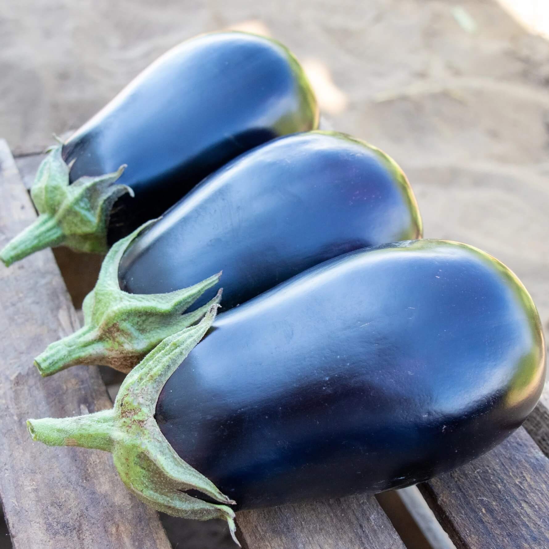 Eggplant Seeds - Blue