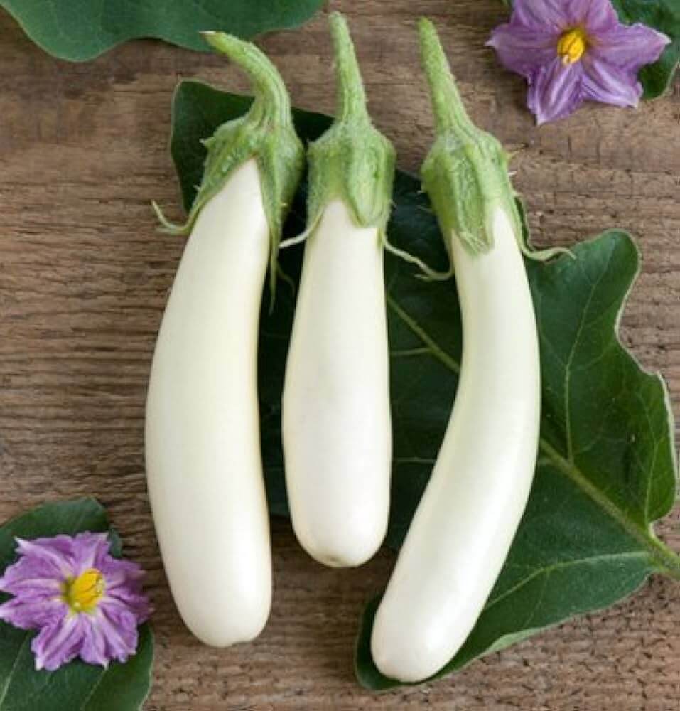 Eggplant Seeds - Brinjal White Long 