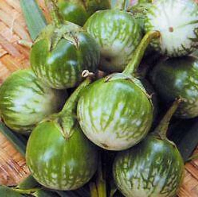 Eggplant Seeds - Dark Green