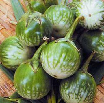 Eggplant Seeds - Dark Green