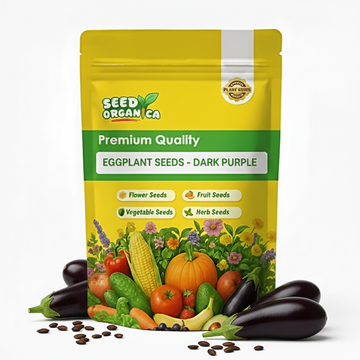 Eggplant Seeds - Dark Purple