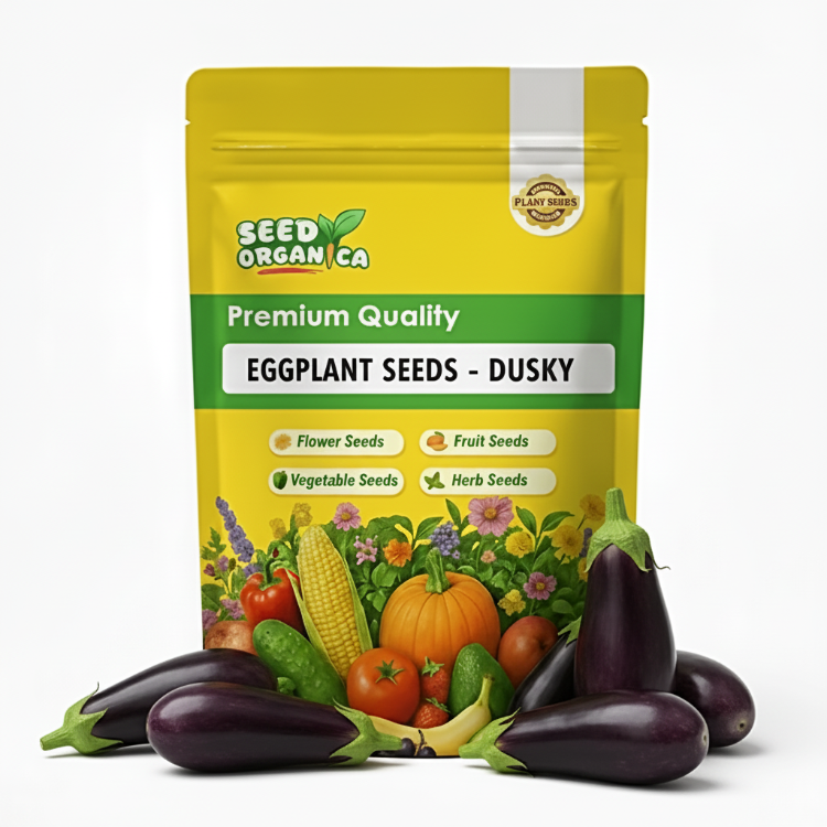 Eggplant Seeds - Dusky