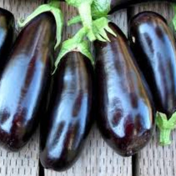 Eggplant Seeds - Dusky