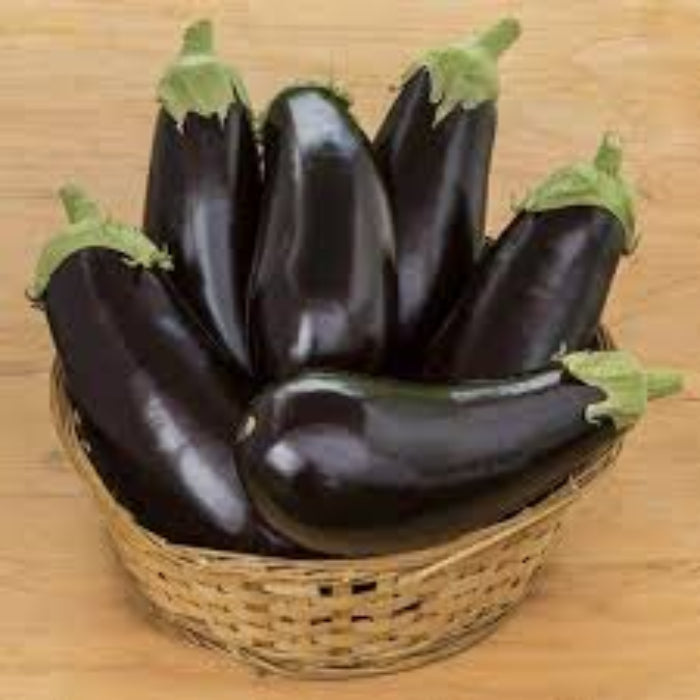 Eggplant Seeds - Dusky