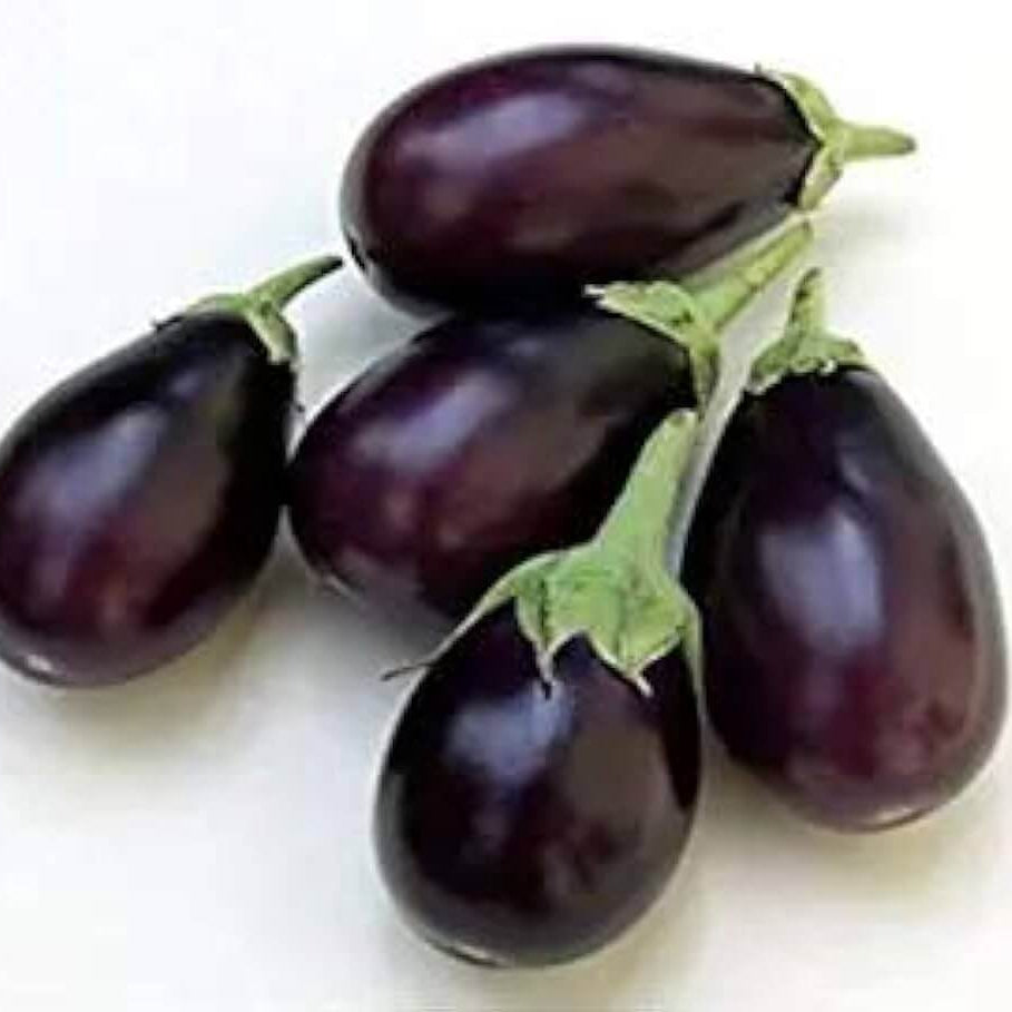 Eggplant Seeds - Floriculture Greens 