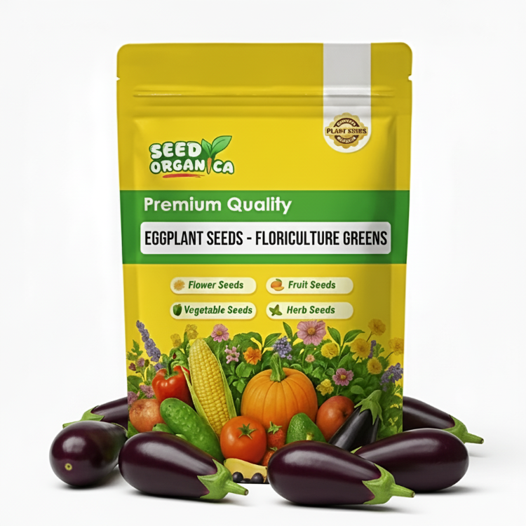 Eggplant Seeds - Floriculture Greens