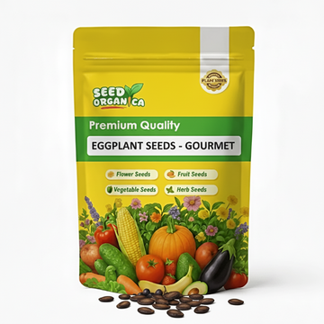 Eggplant Seeds - Gourmet