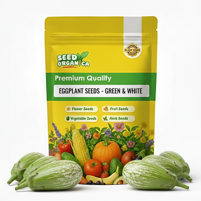 Eggplant Seeds - Green & White