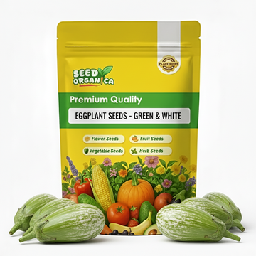 Eggplant Seeds - Green & White
