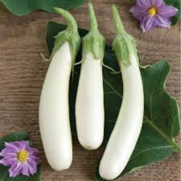Eggplant Seeds - Gretel
