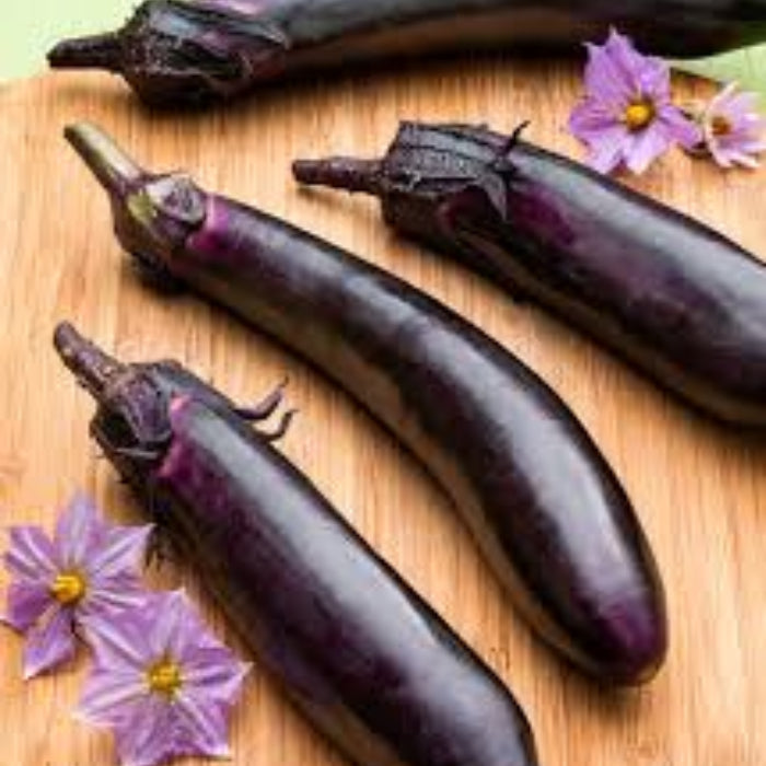 Eggplant Seeds - Ichiban