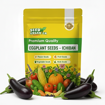 Eggplant Seeds - Ichiban