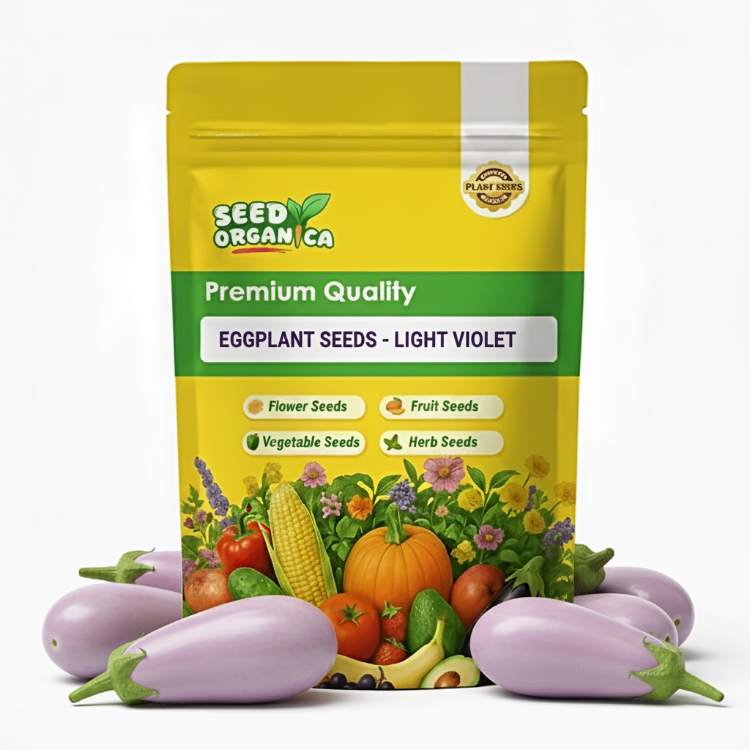 Eggplant Seeds - Light Violet