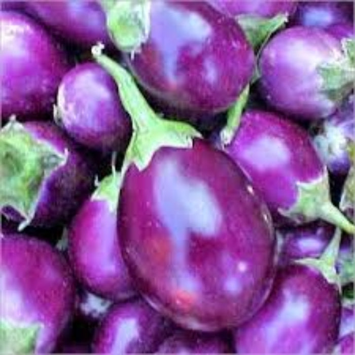 Eggplant Seeds - Light Violet