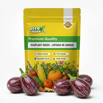 Eggplant Seeds - Listada De Gandia