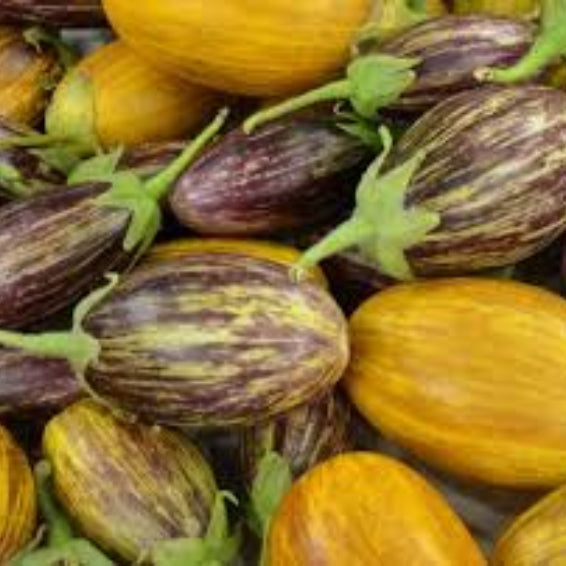 Eggplant Seeds - Mixed Udumalpet