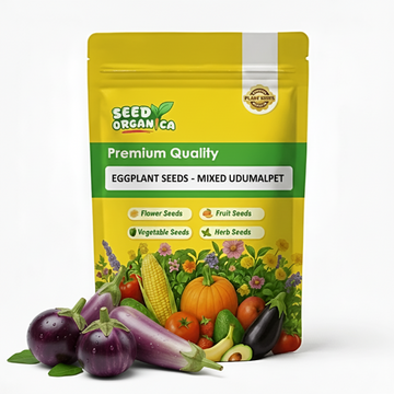 Eggplant Seeds - Mixed Udumalpet
