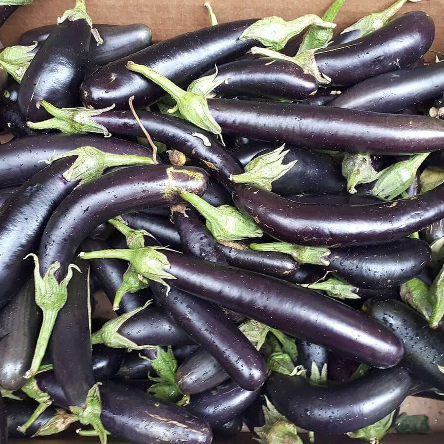 Eggplant Seeds - Orient3