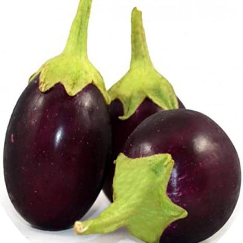Eggplant Seeds - Purple Green
