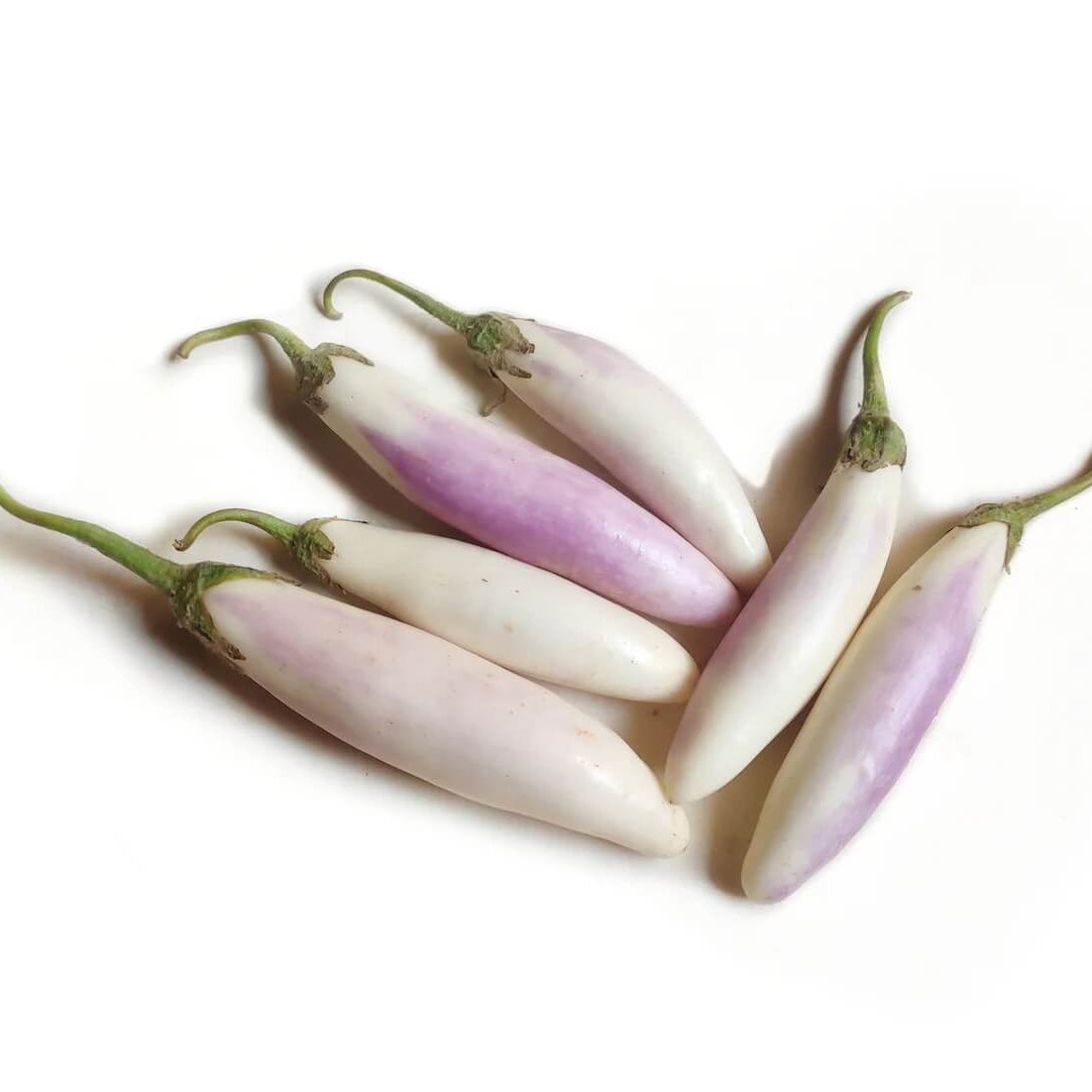 Eggplant Seeds - Purple White