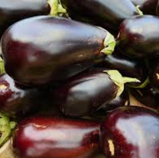 Eggplant Seeds - Red Black 