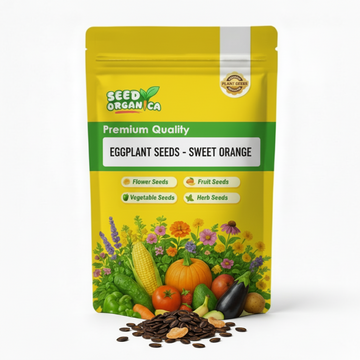 Eggplant Seeds - Sweet Orange