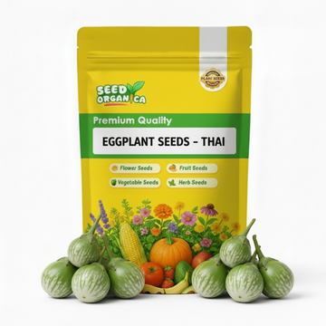 Eggplant Seeds - Thai