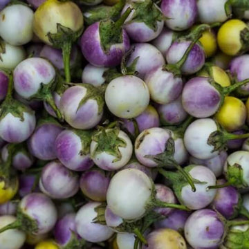 Eggplant Seeds - Violet and Yellow