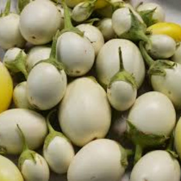 Eggplant Seeds - Yellow and White