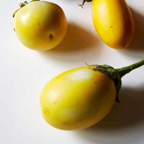 Eggplant Seeds - Yellow and White