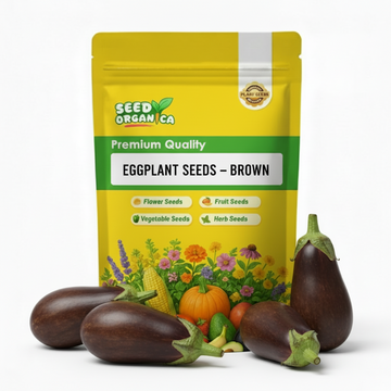 Eggplant Seeds – Brown