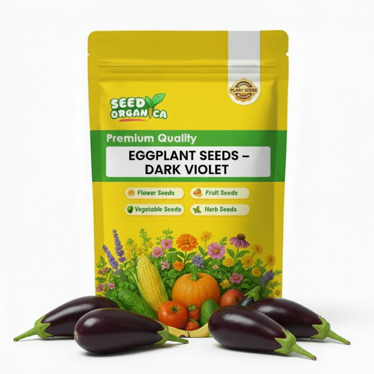 Eggplant Seeds – Dark Violet