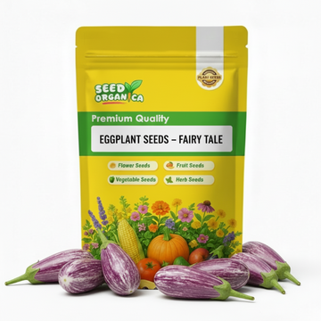 Eggplant Seeds – Fairy Tale
