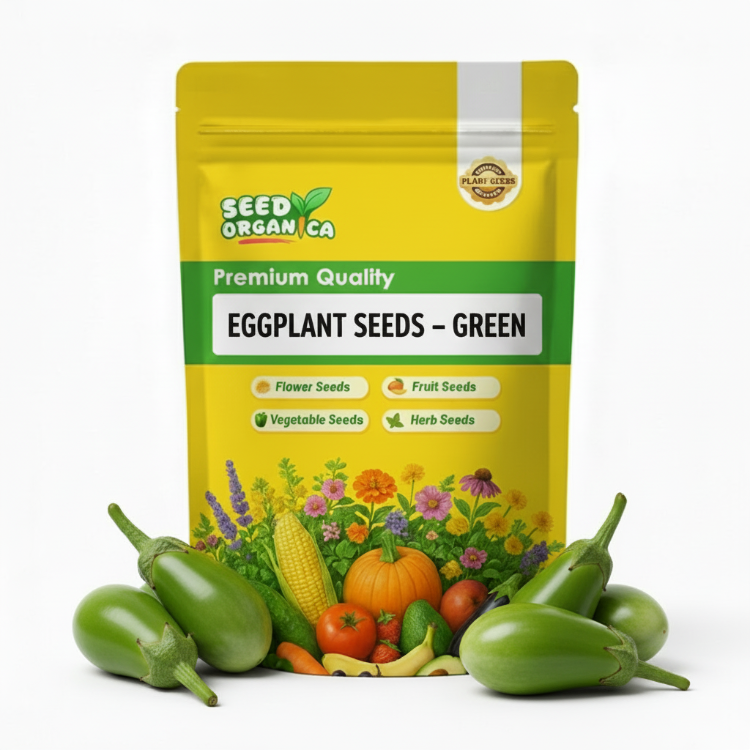 Eggplant Seeds – Green