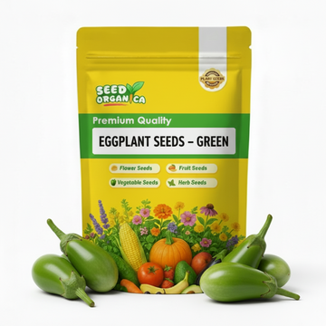 Eggplant Seeds – Green