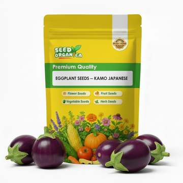 Eggplant Seeds – Kamo Japanese