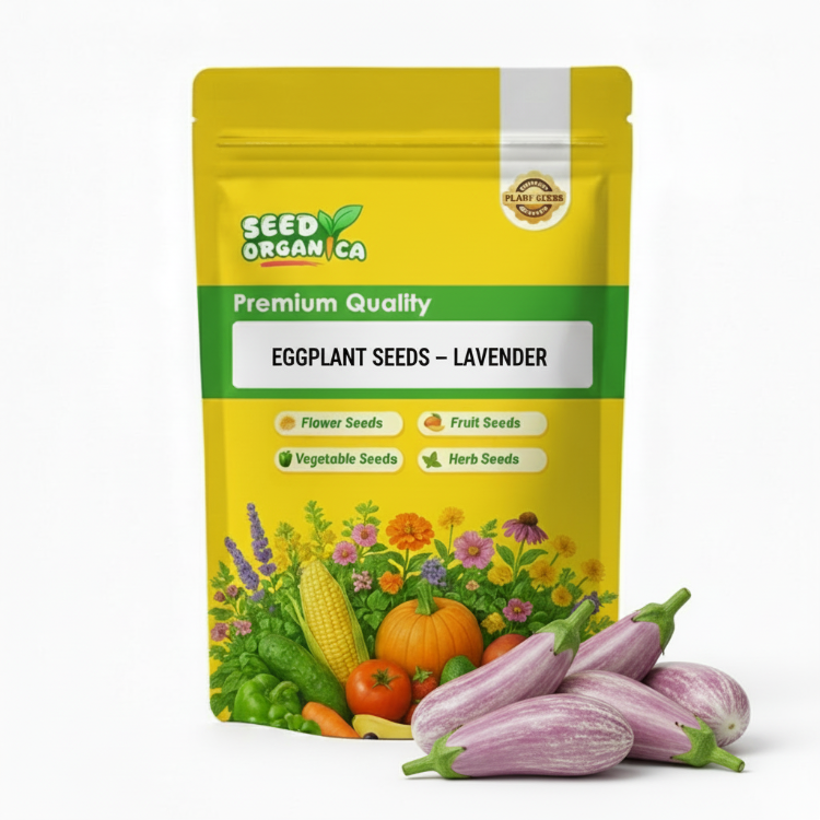 Eggplant Seeds – Lavender