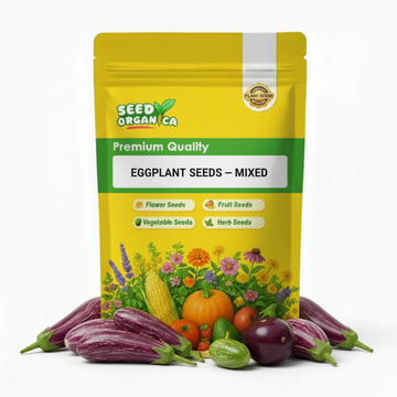 Eggplant Seeds – Mixed